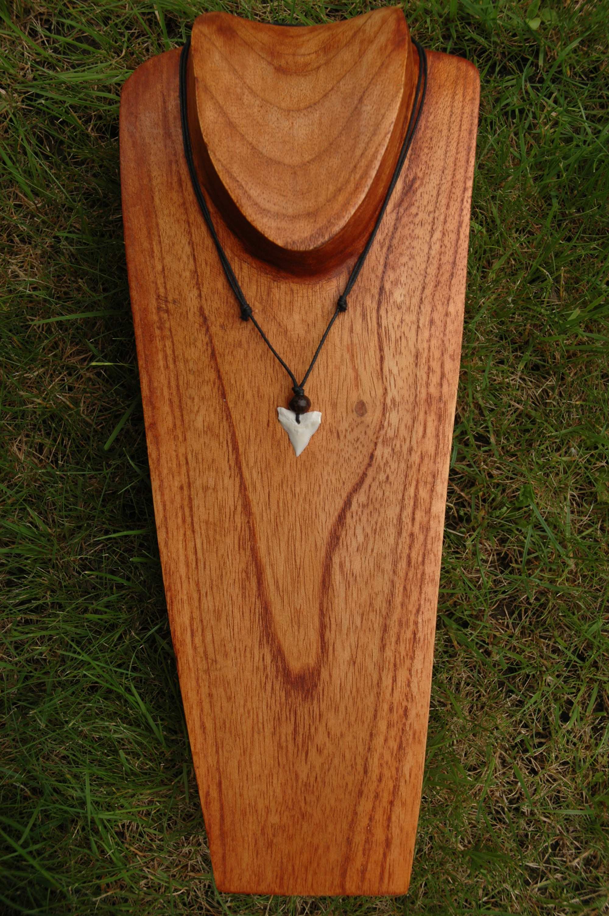 /album/jedinecny-darek-za-50-kc/zub-jpg/